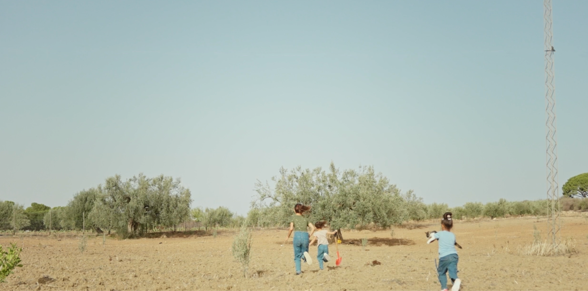 Children playing in field